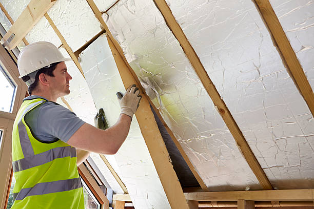 Best Eco-Friendly Insulation in Prces Lakes, IN