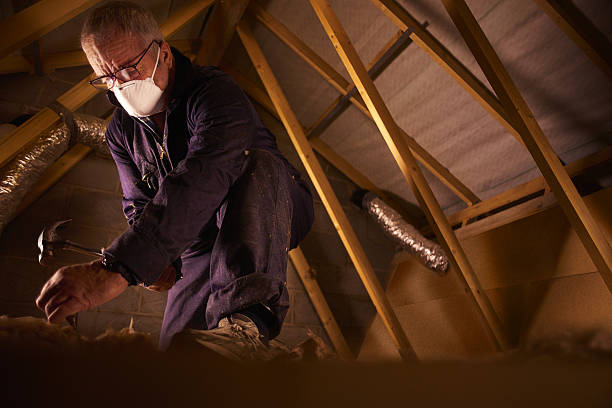 Best Energy Efficiency Insulation in Prces Lakes, IN